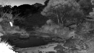Still 2 from this detection