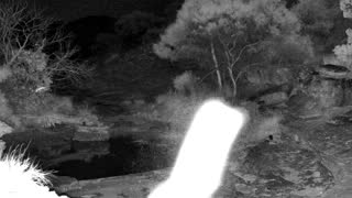 Still 1 from this detection