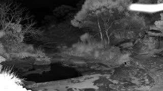 Still 1 from this detection