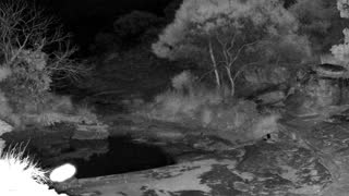 Still 1 from this detection