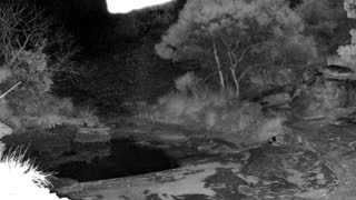 Still 2 from this detection