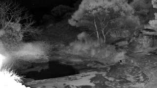 Still 1 from this detection