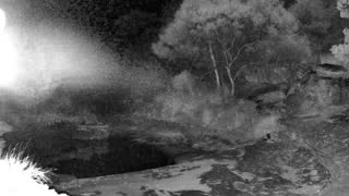 Still 2 from this detection