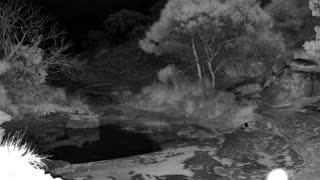 Still 1 from this detection