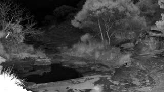 Still 2 from this detection