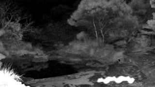 Still 2 from this detection