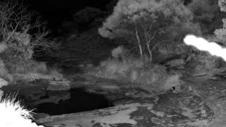 Still 1 from this detection