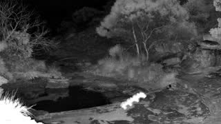Still 1 from this detection
