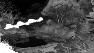 Still 2 from this detection