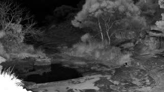Still 2 from this detection