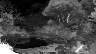 Still 3 from this detection