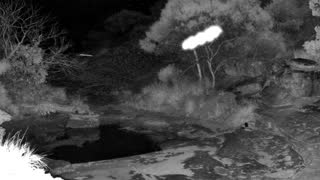 Still 1 from this detection