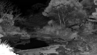 Still 2 from this detection