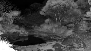 Still 1 from this detection