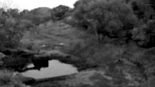 Still 2 from this detection