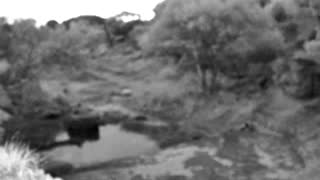Still 2 from this detection