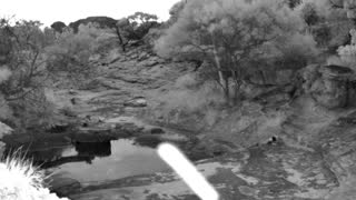 Still 2 from this detection