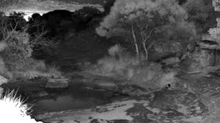 Still 1 from this detection