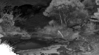 Still 2 from this detection