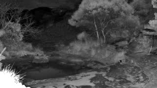 Still 3 from this detection
