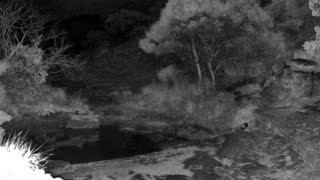 Still 1 from this detection