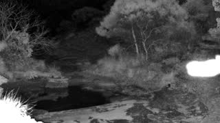 Still 1 from this detection