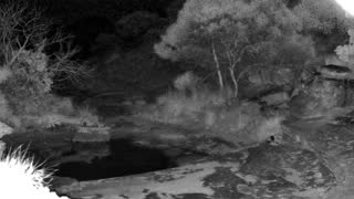 Still 2 from this detection