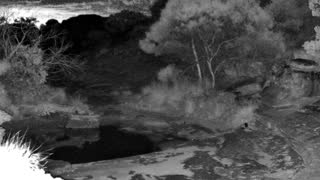Still 2 from this detection