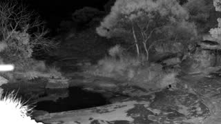 Still 1 from this detection
