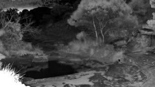 Still 1 from this detection