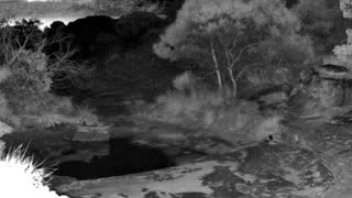 Still 1 from this detection