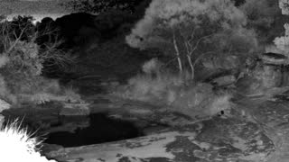 Still 2 from this detection