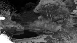 Still 1 from this detection