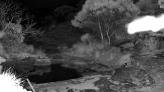 Still 1 from this detection