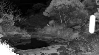 Still 2 from this detection