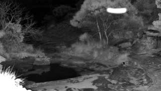 Still 3 from this detection