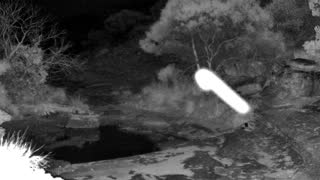 Still 1 from this detection