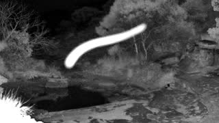 Still 2 from this detection