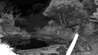 Still 3 from this detection