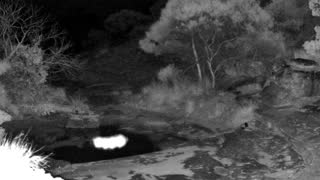 Still 1 from this detection