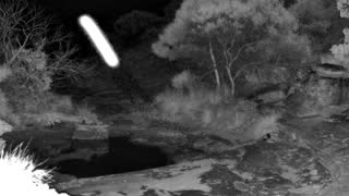 Still 1 from this detection