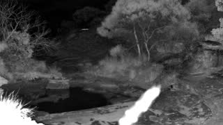 Still 2 from this detection