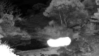 Still 2 from this detection