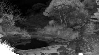 Still 1 from this detection