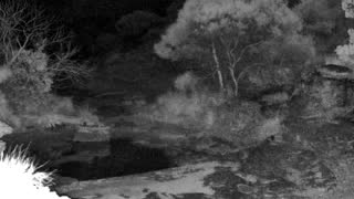 Still 2 from this detection