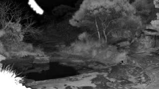 Still 1 from this detection