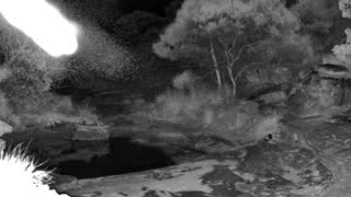Still 2 from this detection