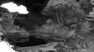 Still 2 from this detection