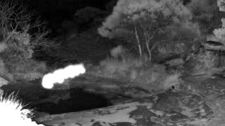 Still 2 from this detection