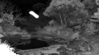 Still 1 from this detection